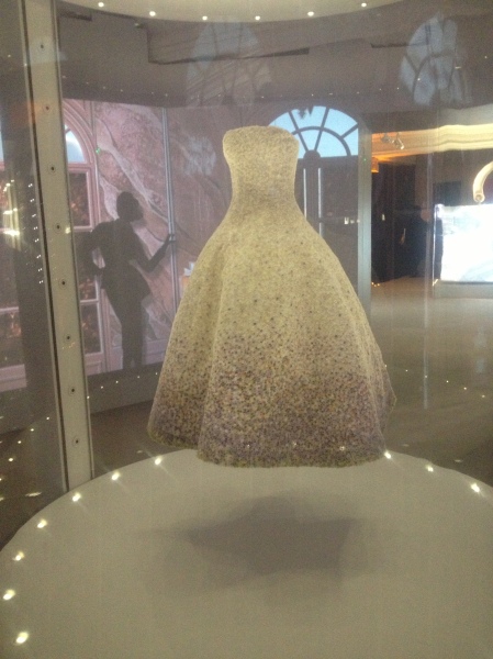 Dior Exhibition - Dress